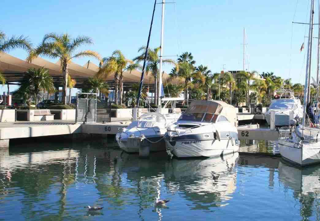 Palm trees along the marina